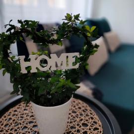 Apartament Baldachówka