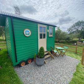 Wooly Huts Green, hotel u gradu 'Westport'
