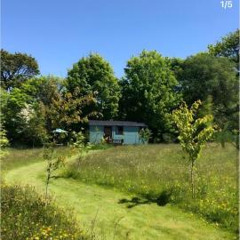 Wild Meadow Camping, hotel v destinaci Llandysul