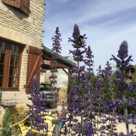 Gîte champenois les voisins