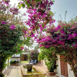 LA OLA Tarifa, Hotel in Tarifa