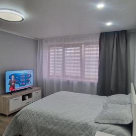 Apartamentai Grigiškes