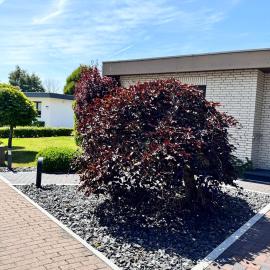 Bungalow Löwenstrom, hotel a Büsum