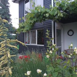 Guest House Serena