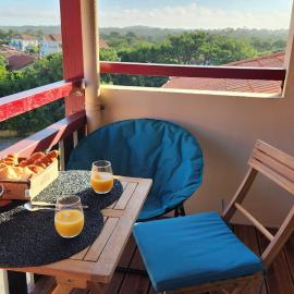Hossegor Appart T2 6 couchages Plage Sud 100m ocean - Brise oceane, Hotel in Soorts-Hossegor