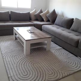 Appartement neuf, lumineux et calme, entièrement meublé