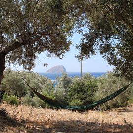 Μικρό Ανάδιο, hotel a Kapsálion