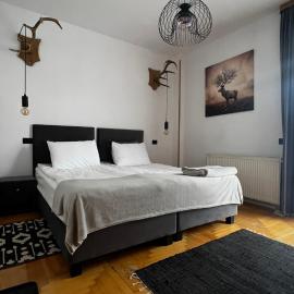 Pensiunea Alpin Predeal
