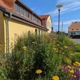Ferienwohnungen - barrierefrei - im sanierten Gutshof