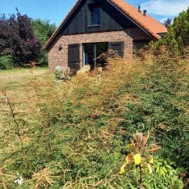 Ruim vakantie huis Marke Lemselo in de rust en natuur