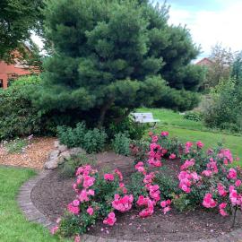 Gartenidylle