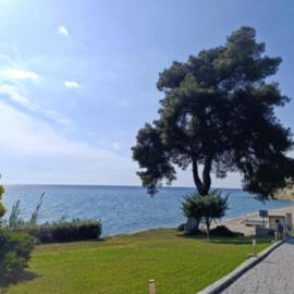 Elani horizon