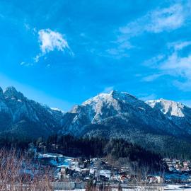 MonteView