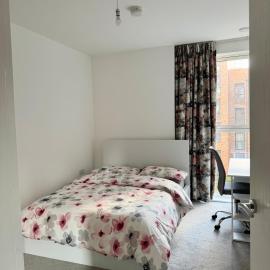 Cozy Modern Room In London, hotel in Hounslow