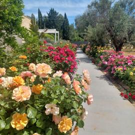 Zeituna Lodge a Porto Cesareo, hotel u gradu Tore Lapilo