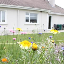 Family Home, 20 mins from Youghal Beach, hotel u gradu Killeagh