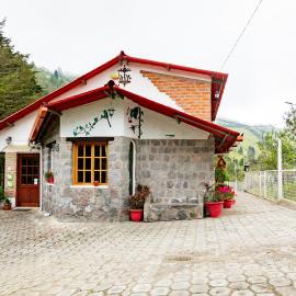Nono Villa Doris