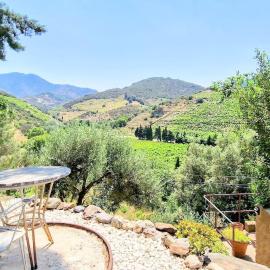 Maison 4* indépendante avec vue sur vignes - Terrasse - Parking - FR-1-309-262