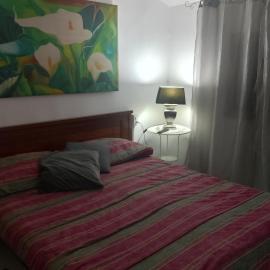 La casina