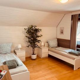 Ferienwohnung in der nähe von Europapark Kehl, ξενοδοχείο σε Kehl am Rhein