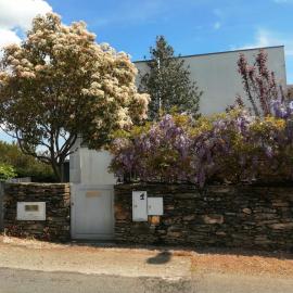 Single House, Hotel in Vila Real