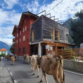 Residence Valgerola