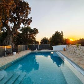 Paxos Dream House