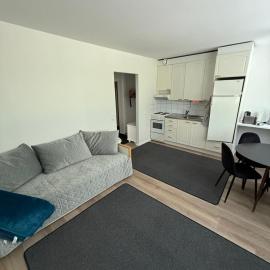 Saimaa Glow Apartment 2