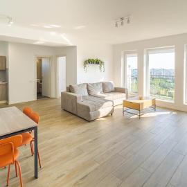 Downtown Apartment w Jacuzzi&Terrace Parkview v2
