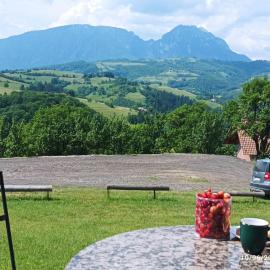 Casa din Livadă, Poiana Mărului, Brasov, hotel in Poiana Mărului