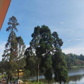 Lake View Homestay, hotel Mirik városában