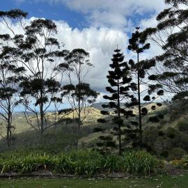 Maleny-Montville Cottages #2, 2 bed with ocean views