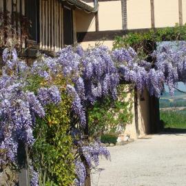 Gite du Paradis, hotel din Vieuzos
