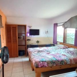 Busy Bee Apartments, hotel u gradu Kololi