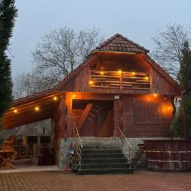 Cabana Patru Anotimpuri, hotel in Rîmeţi