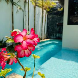 Oasis Villa a lado del mar