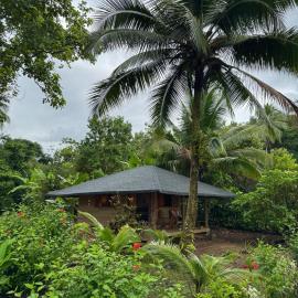 Madre Selva Eco Lodge, Hotel in Nuquí