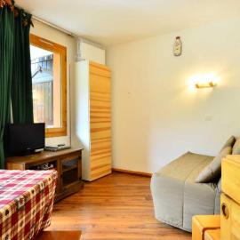 Studio cosy à Montchavin Les Coches, pied des pistes, balcon, parking gratuit - FR-1-329-2, hôtel à Montchavin