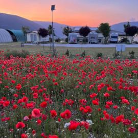 Agricamping Brandimarte - Bungalow del pastore, hotel en Santa Scolastica