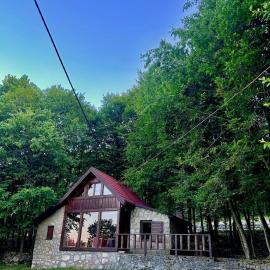 Montenegro Rustic House I, hotel in Bjeloši