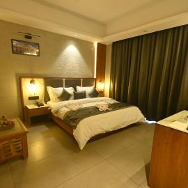 Hotel Ravine Palace