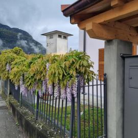 LoSteLaDa sul lago di Como, מלון בקוליקו