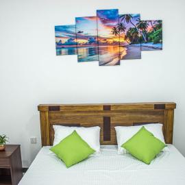 Airport and Paddy View Home Stay