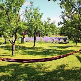 Casa rurală cu livadă LavAndra, hotel v destinácii Câmpina