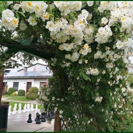 Urlaubshof-Boie, hotel di Barsfleth