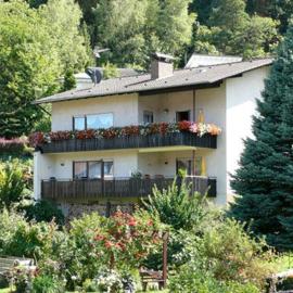 Haus Dorfblick