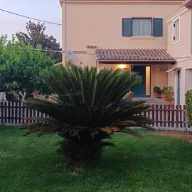 All season House