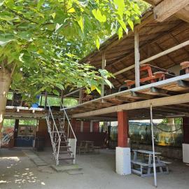 casa la meduza