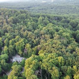 Stone Leaf Farm Private Nature Retreat with Pool, Waterfalls, Orchards & Gardens, khách sạn ở Jefferson