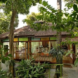Ambong Rainforest Retreat, viešbutis mieste Pantai Cenang
